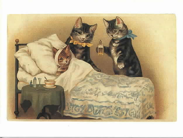 Лечение кошки